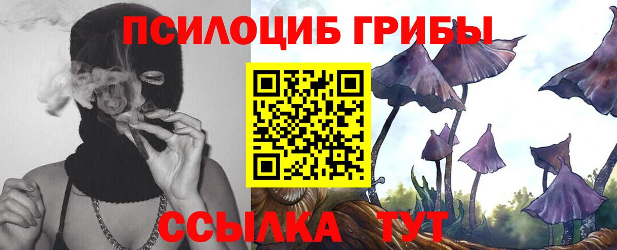 Псилоцибиновые грибы Magic Shrooms  Галлюциногенные грибы Psilocybine cubensis  Вход с VPN  Кореновск 